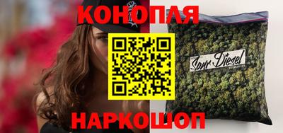 шишки Коммунар