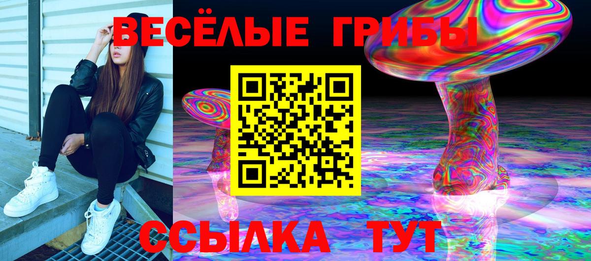 Псилоцибиновые грибы Cubensis Качканар
