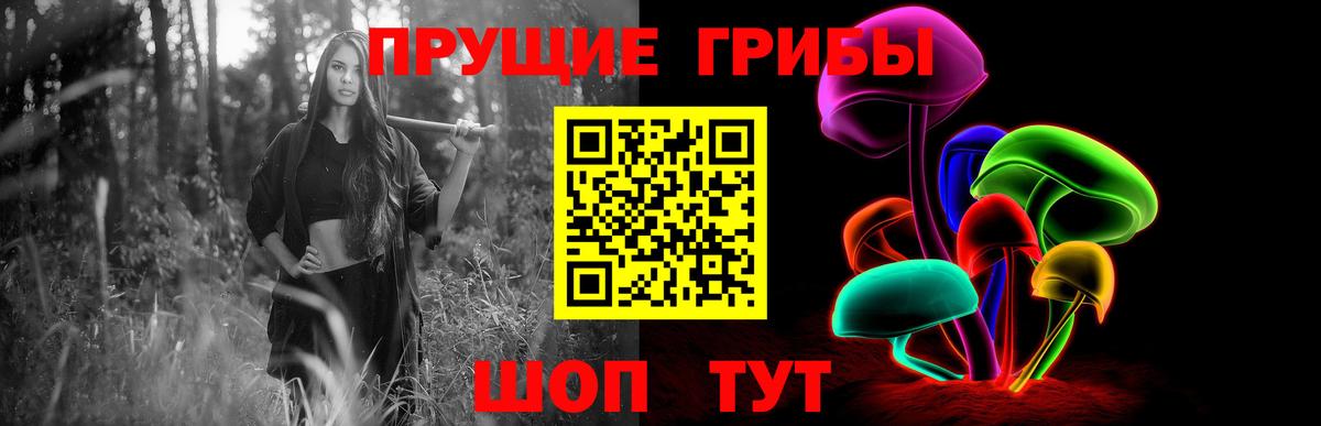 Галлюциногенные грибы Psilocybine cubensis  Псилоцибиновые грибы MAGIC MUSHROOMS  Качканар  Вход с VPN 